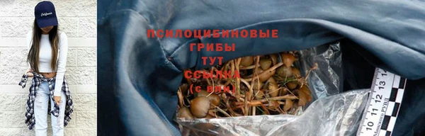 гидропоника Абдулино