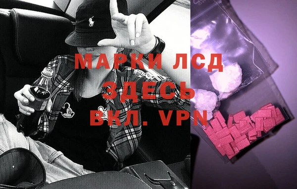 трава Абаза