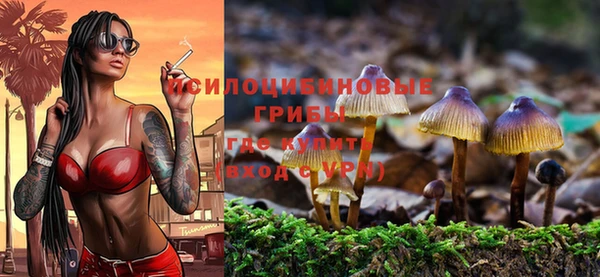 трава Абаза