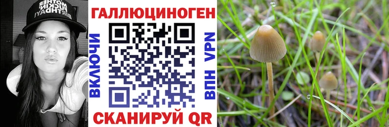 Псилоцибиновые грибы Magic Shrooms  как найти закладки  Мамадыш 